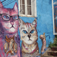 Valparaíso, Chile: Alleyways, Animals, and 100-year-old Funiculars on an Ocean Hillside.