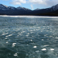 Walking on Abraham Lake in Alberta