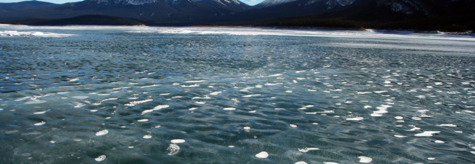 Walking on Abraham Lake in Alberta