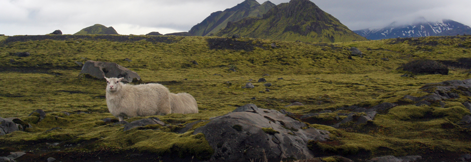 Iceland: My Introduction.